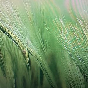 Meet your Posher, Lucia